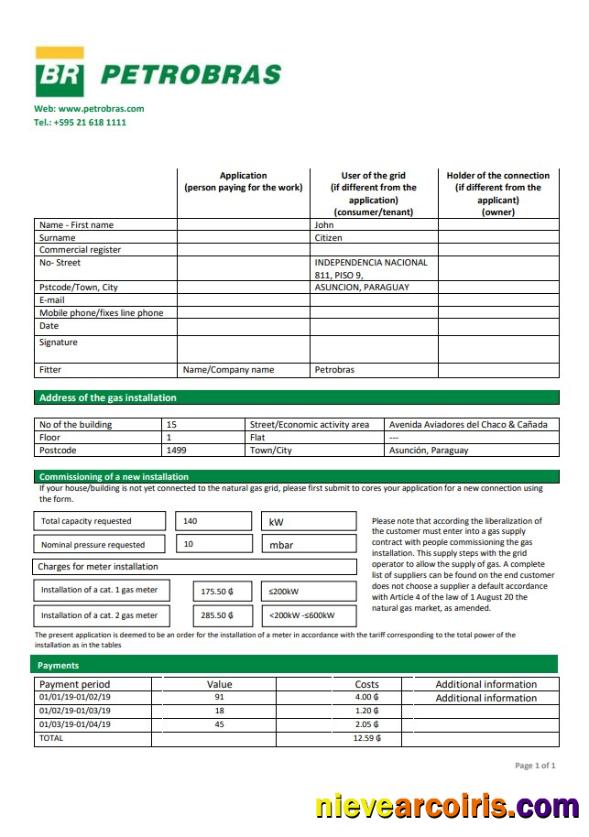 Paraguay Petrobras Paraguay Operations and Logistics gas company utility bill